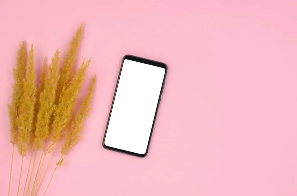 Digital advertising: Waxoo offers innovative solutions for advertisers